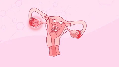 体温测排卵的方法