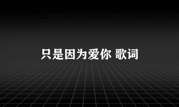 只是因为爱你 歌词