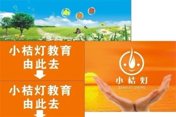 全国十大作文辅导培训机构：快乐魔方上榜，阳光喔第一