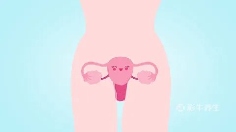 白带拉丝多久同房最佳