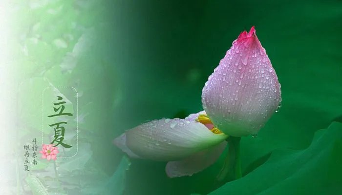 2022年立夏时间几点几分几秒 2022年立夏是什么时候