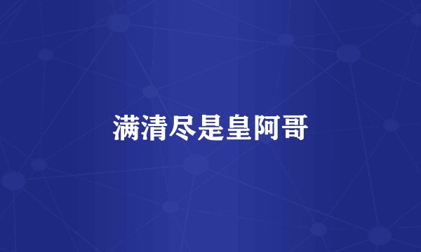 满清尽是皇阿哥