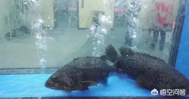 三亚价钱合适的海鲜市场在哪里？