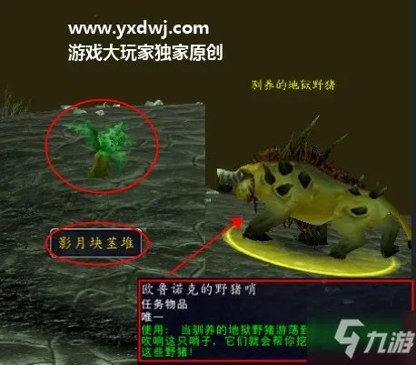 影月块茎在哪里儿? tbc影月谷历经沧桑任务制作方法教程