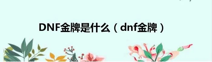 DNF金牌是什么（dnf金牌）