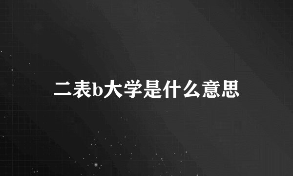 二表b大学是什么意思