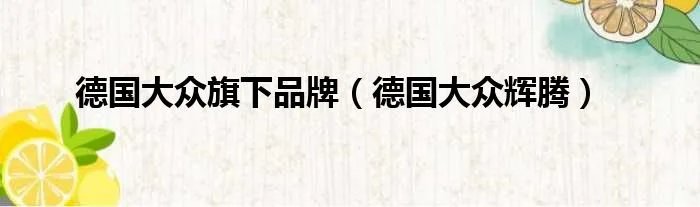 德国大众旗下品牌（德国大众辉腾）