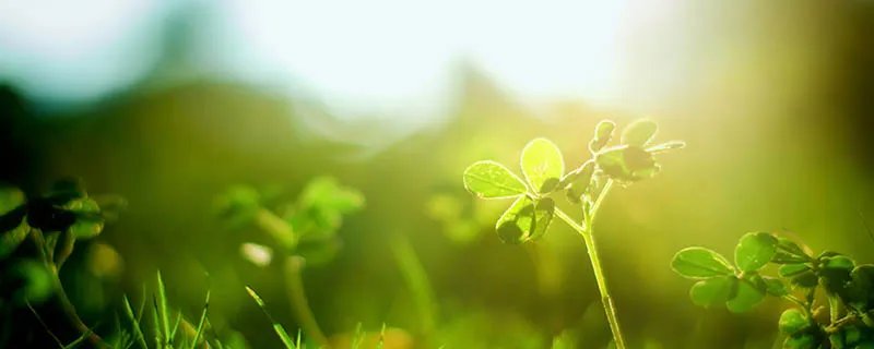 隔着玻璃晒太阳和直接晒的区别 隔着玻璃晒太阳和直接晒的区别有哪些