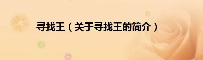 寻找王（关于寻找王的简介）