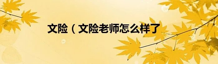 文险（文险老师怎么样了