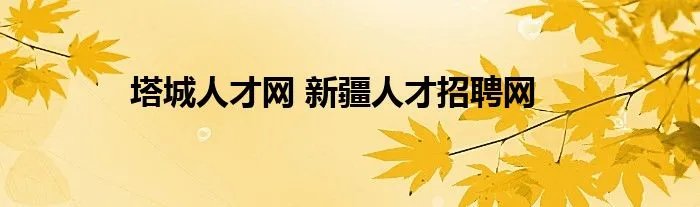 塔城人才网 新疆人才招聘网