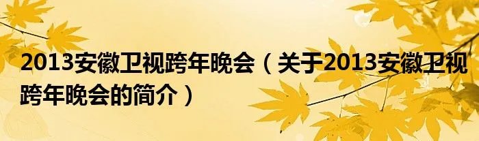 2013安徽卫视跨年晚会（关于2013安徽卫视跨年晚会的简介）