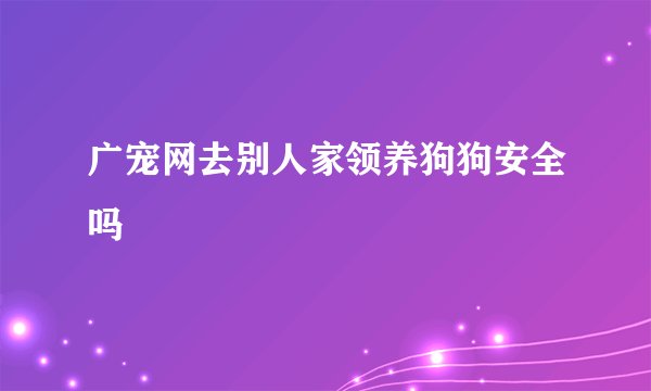 广宠网去别人家领养狗狗安全吗