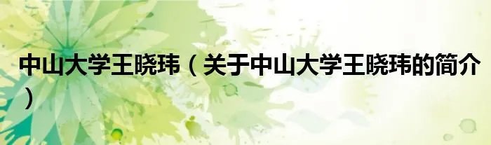 中山大学王晓玮（关于中山大学王晓玮的简介）