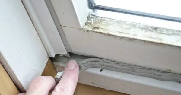 每日装修：不要再问我了，全屋必用20款装修胶全攻略，防霉防水还耐候，房子再住70年！