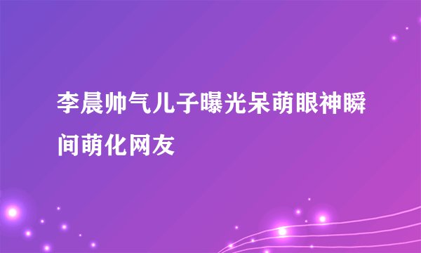 李晨帅气儿子曝光呆萌眼神瞬间萌化网友