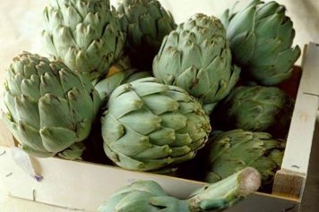 洋蓟茶的功效与作用