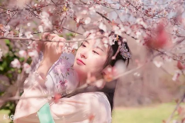 天骄3刺客加点（一个水缸，和一块木板）