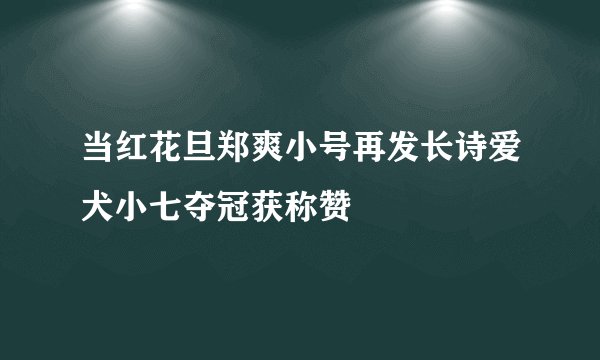 当红花旦郑爽小号再发长诗爱犬小七夺冠获称赞