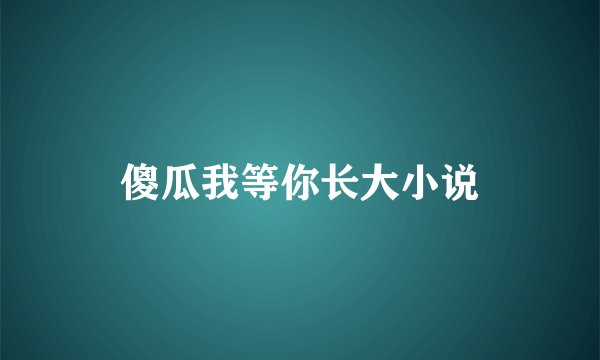 傻瓜我等你长大小说