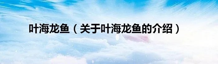 叶海龙鱼（关于叶海龙鱼的介绍）