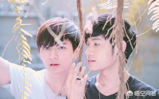 如何看待《一年生2》？