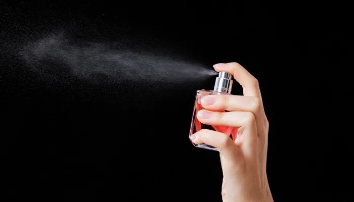 圣浪登是哪个国家的品牌