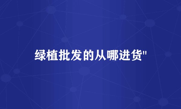 绿植批发的从哪进货