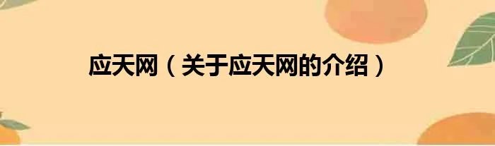 应天网（关于应天网的介绍）
