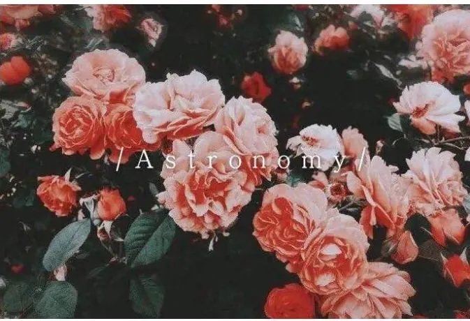 此生无悔入华夏，来生愿在种花家