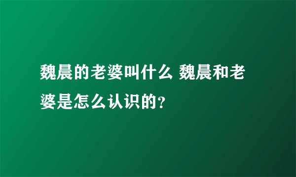 魏晨的老婆叫什么 魏晨和老婆是怎么认识的？