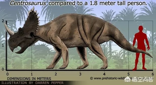 科学家发现2.2亿年前恐龙墓，谁给安葬的呀？