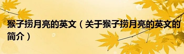 猴子捞月亮的英文（关于猴子捞月亮的英文的简介）