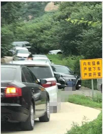 八达岭动物园儿童探身出车你该不该对自己负责？