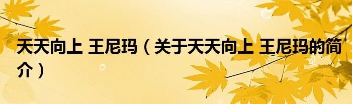天天向上 王尼玛（关于天天向上 王尼玛的简介）
