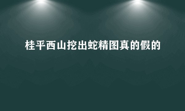 桂平西山挖出蛇精图真的假的