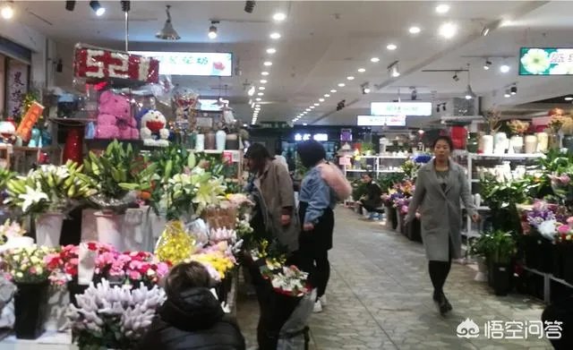 长春有哪些花鸟鱼市场？