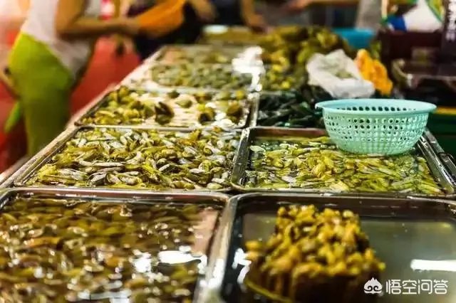 三亚价钱合适的海鲜市场在哪里？