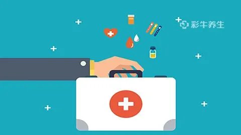 玉兰花的功效与作用