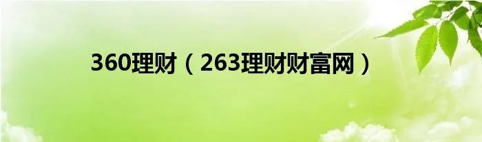 360理财（263理财财富网）