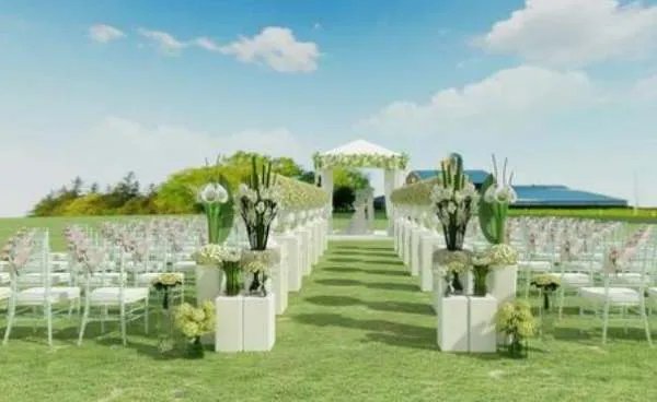 郑恺说他欠苗苗一个婚礼,在你看来婚礼有必要举行吗?