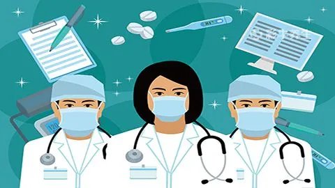 玉兰花的功效与作用