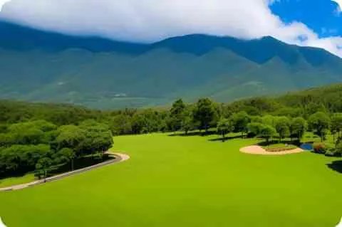 谭松韵否认肇事者 案件还未判决消息不属实