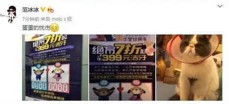 范冰冰晒绝育照 被爆暗讽金星