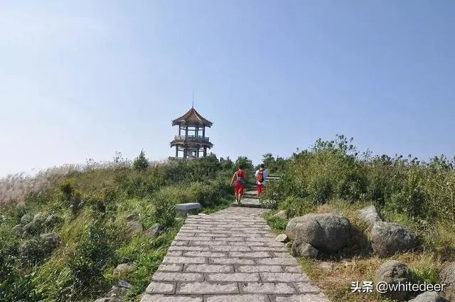 东莞的观音山国家森林公园怎么样？