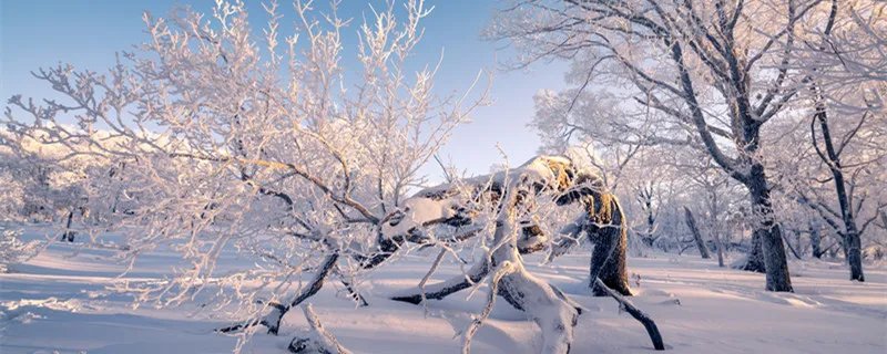 一九二九不出手三九四九冰上走的意思 一九二九不出手三九四九冰上走的意思是
