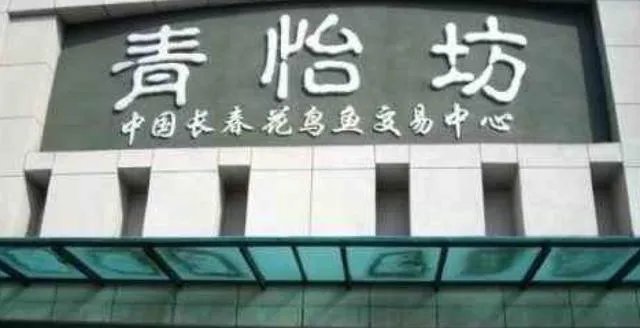 长春有哪些花鸟鱼市场？