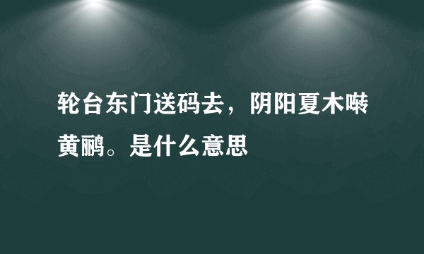轮台东门送码去，阴阳夏木啭黄鹂。是什么意思