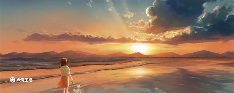 情人节搞笑段子短句