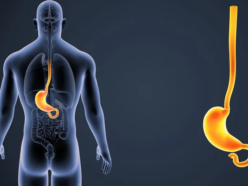 喝蜂蜜对胃有好处吗